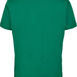 Мъжка тениска е зелен цвят Mister Tee Lemonade