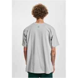 Мъжка тениска в сив цвят Rocawear Heavy 