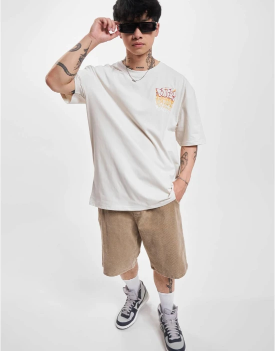 Dangerous DNGRS Tshirt Wallarts beige XXL