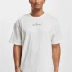 Dangerous DNGRS Danger T-Shirt ready for dye XXL