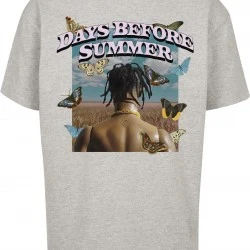 Мъжка тениска в сиво Мister Tee Days Before Summer