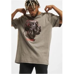 Мъжка тениска в сив цвят Mister Tee Flying High Oversize