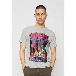 Wonderful Tee heather grey XXL