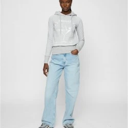 Ladies F-Word Hoody grey XS
