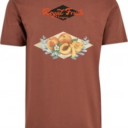 Мъжка тениска в кафяв цвят Mister Tee Royal Fruits