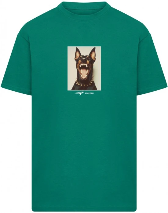 Тениска Neighbors Heavy Oversize Tee green XXL