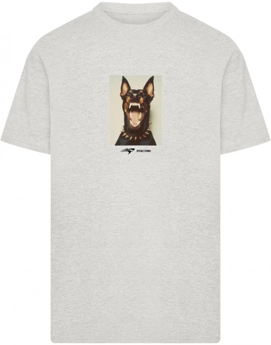 Тениска Neighbors Heavy Oversize Tee grey XXL